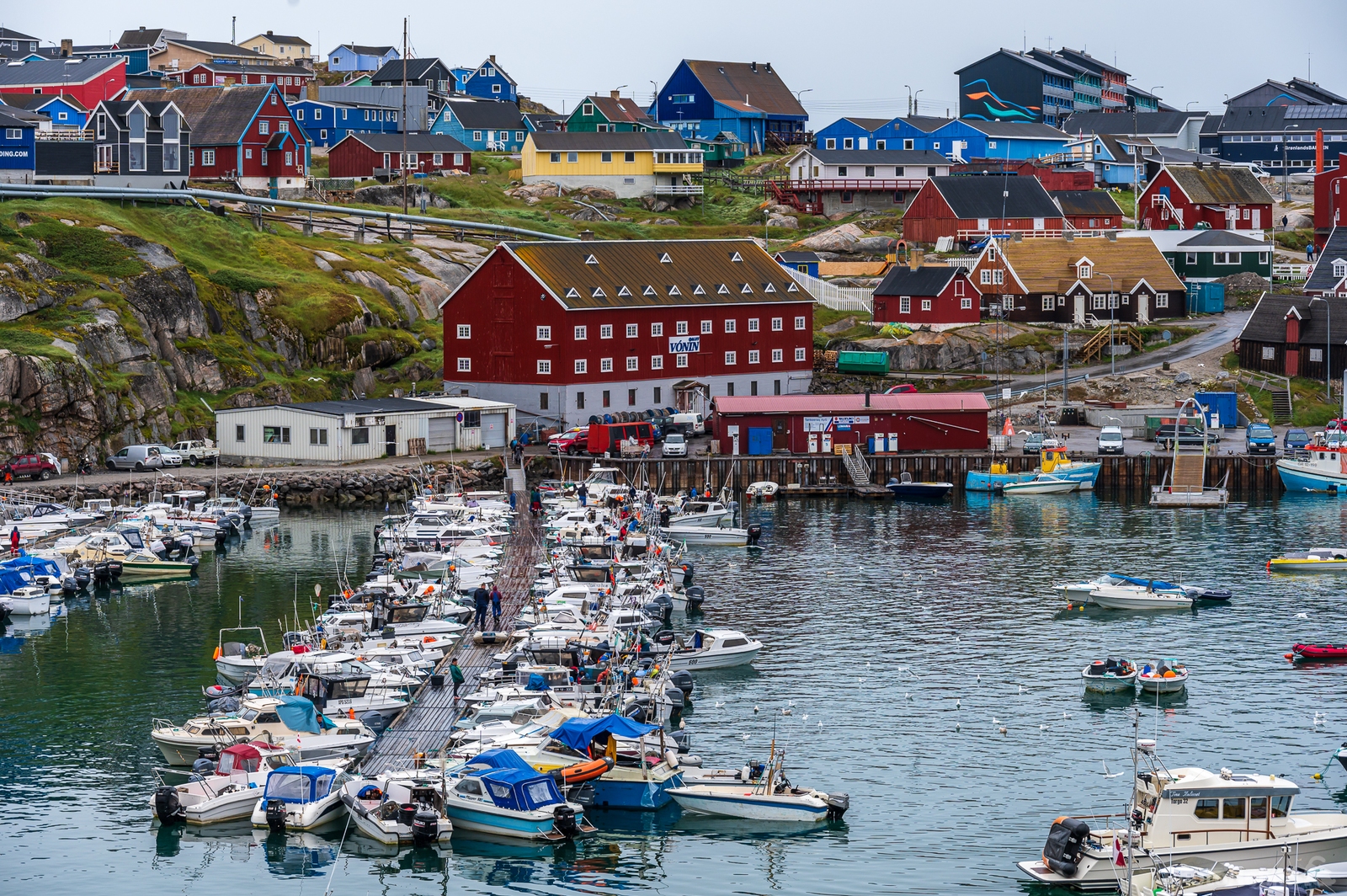 Image of Ilulissat Harbour by Sue Wolfe