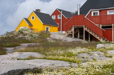 Colorful Houses in Ilulissat