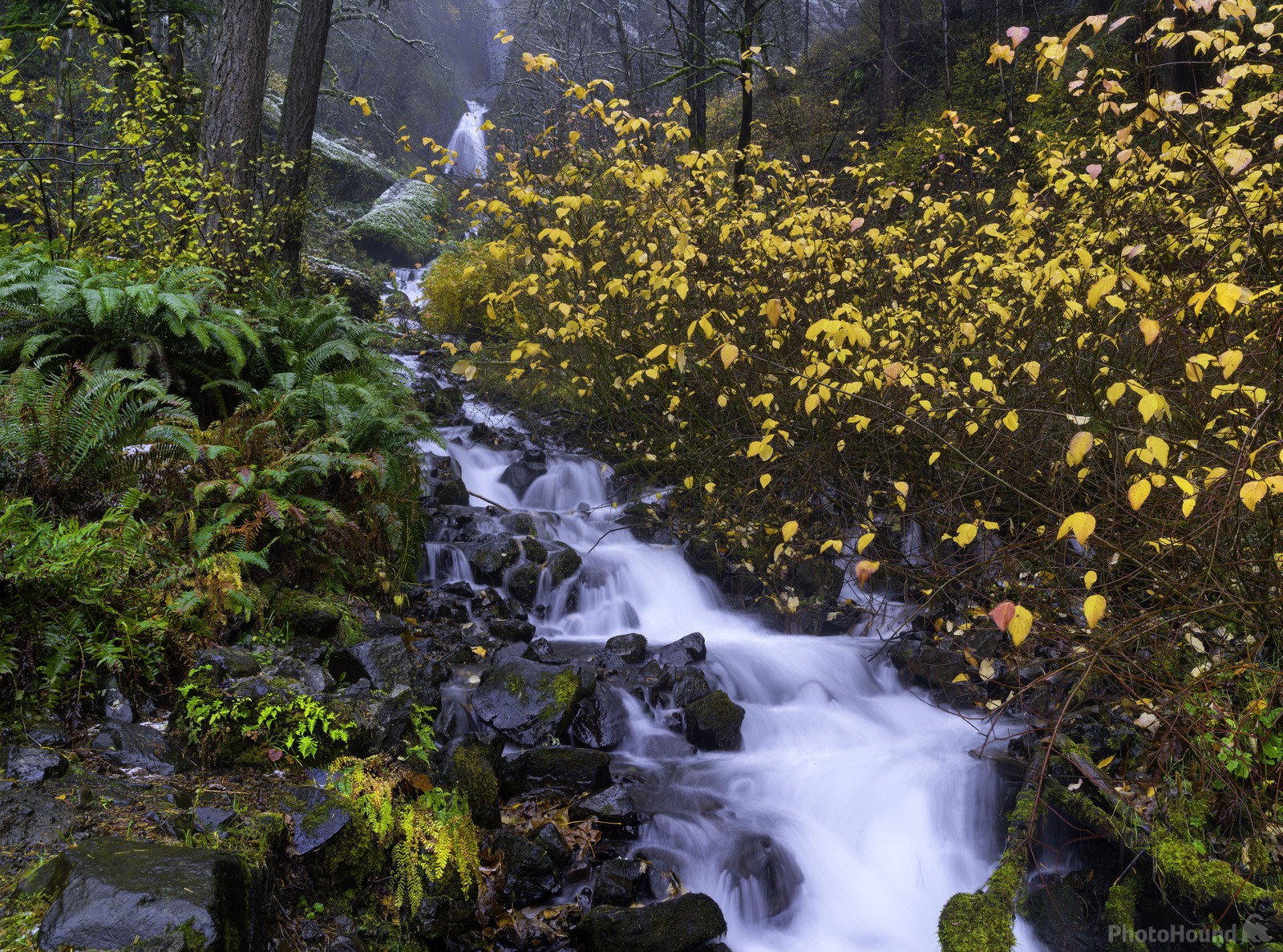 Image of Wahkeena Falls - Lower Viewpoint by Dave Fredrickson