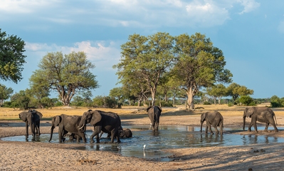 photography locations in Zimbabwe - Hwange National Park