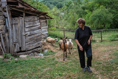 pictures of Serbia - Balta Berilovac Village