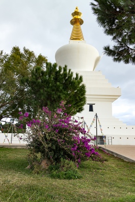 The Stupa from the adjoining gardens, with bougainvillea