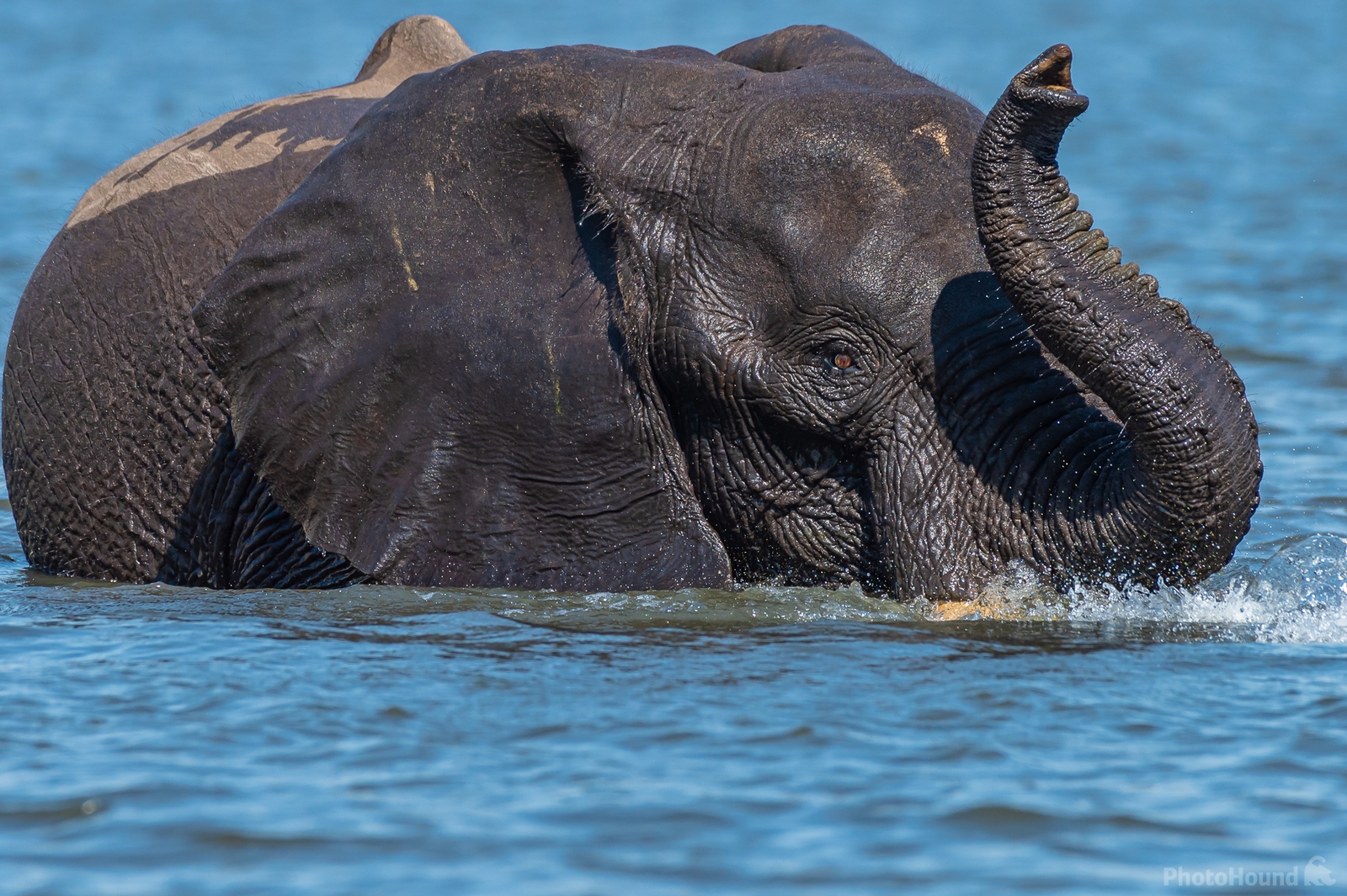Image of River Cruise in Kasane, Chobe National Park by Sue Wolfe
