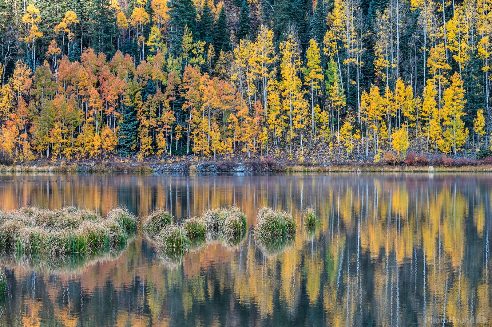 Image of Crystal Lake by Sue Wolfe