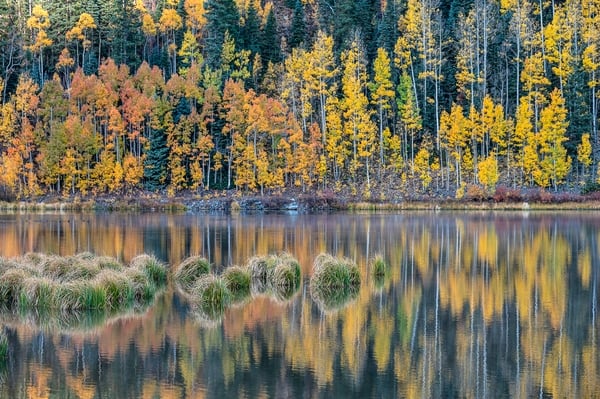 Crystal Lake photo spot, Ridgway