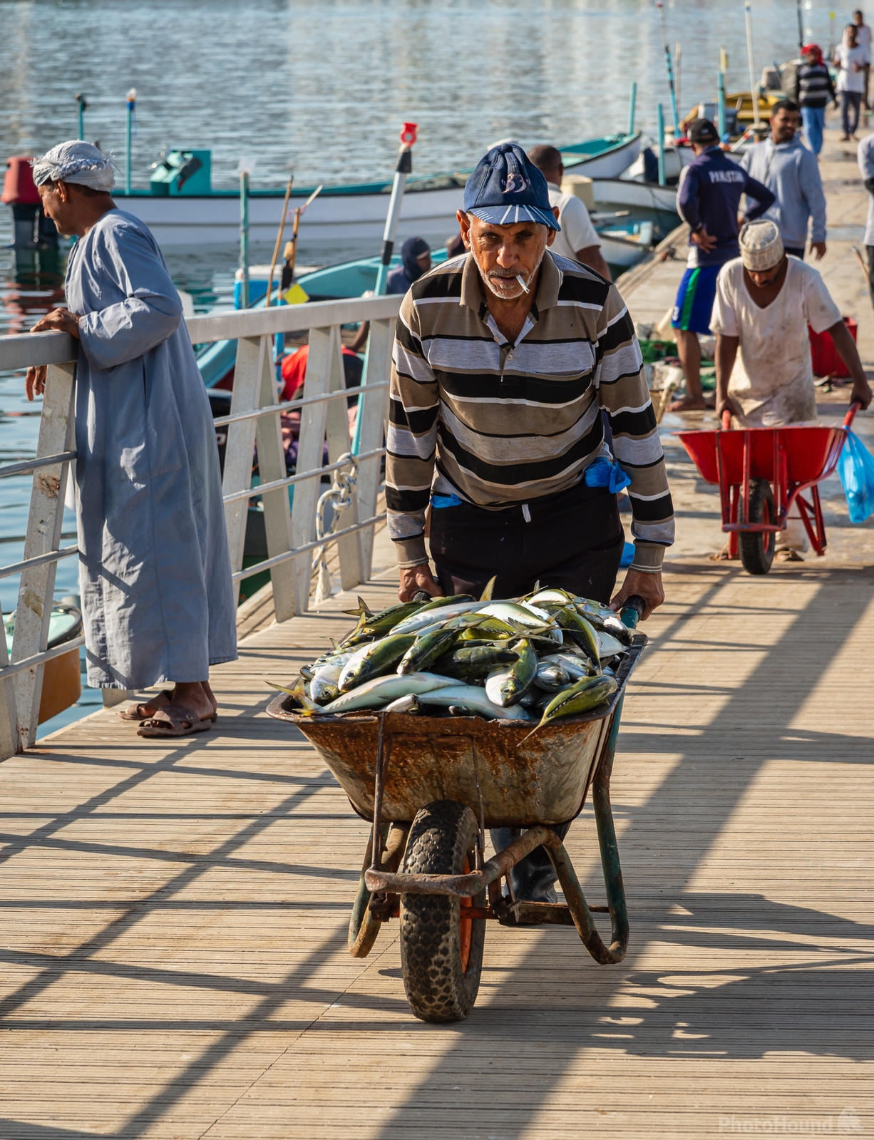 Image of Mutrah Fish Market, Muscat by Sue Wolfe