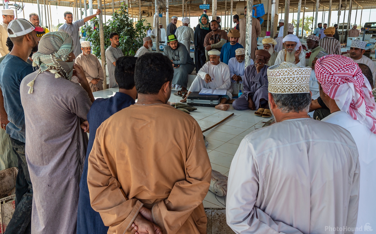 Image of Fish Market in Barka by Sue Wolfe