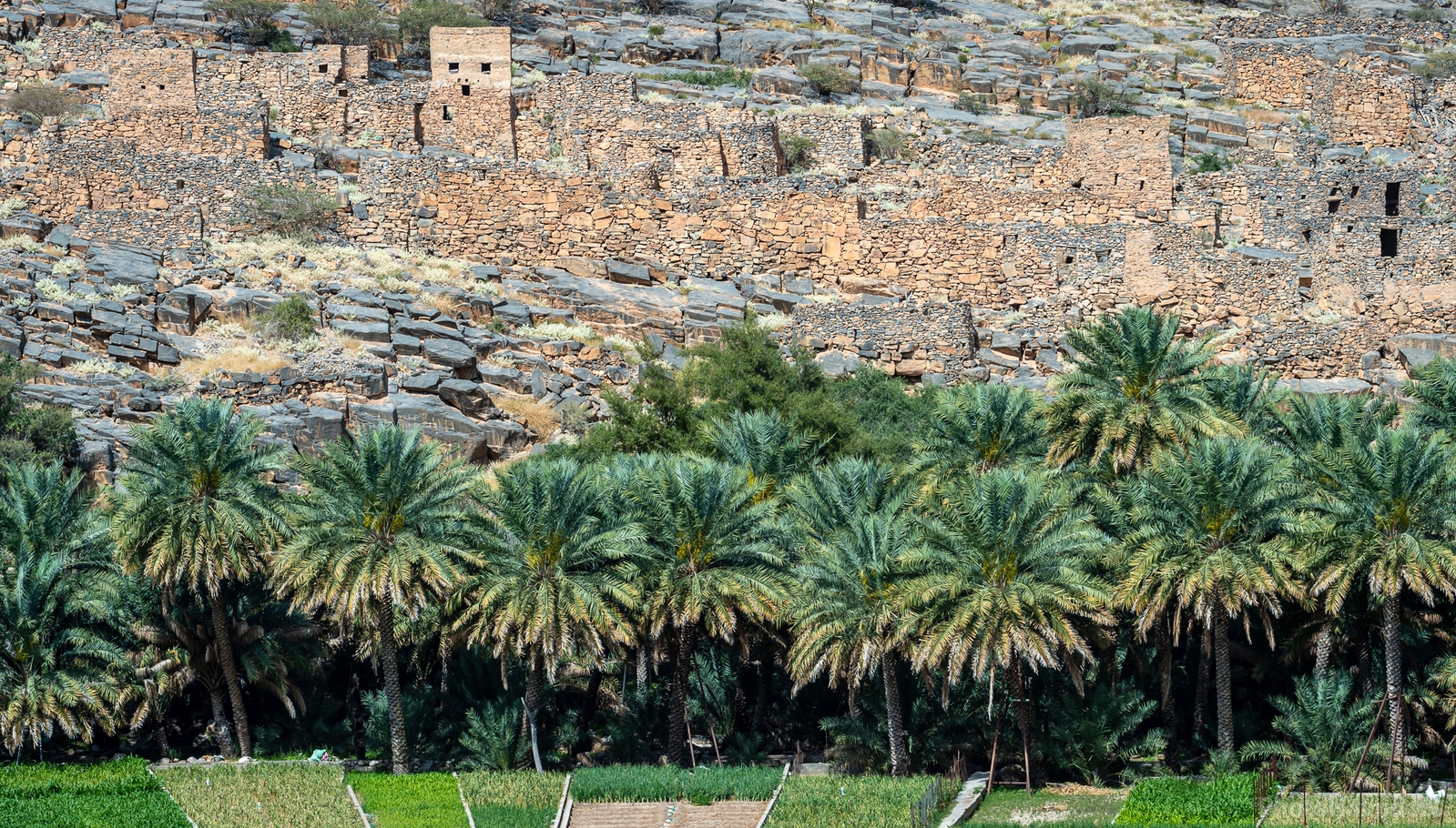 Image of Balad Sayt (بلد سيت) Village by Sue Wolfe