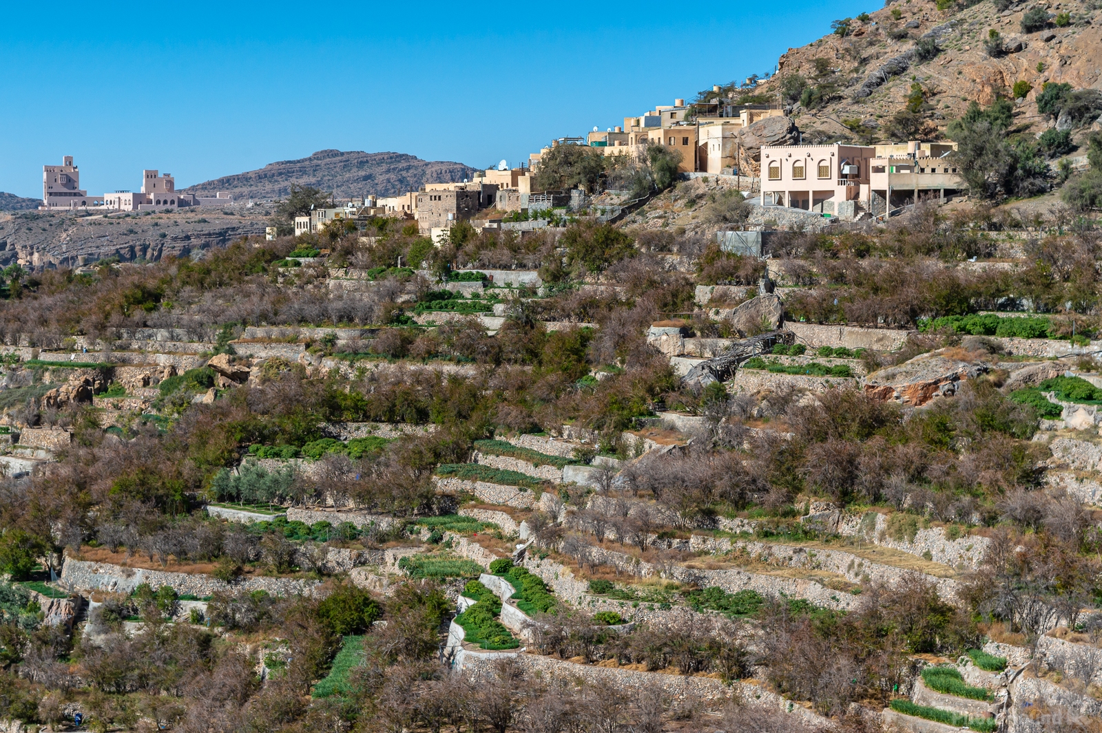 Image of Terraced Villages, Jebel Akhdar by Sue Wolfe