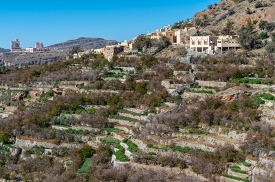 Photo of Terraced Villages, Jebel Akhdar - Terraced Villages, Jebel Akhdar