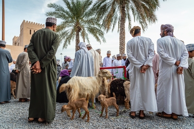 Image of The Goat Market in Nizwa, Oman - The Goat Market in Nizwa, Oman