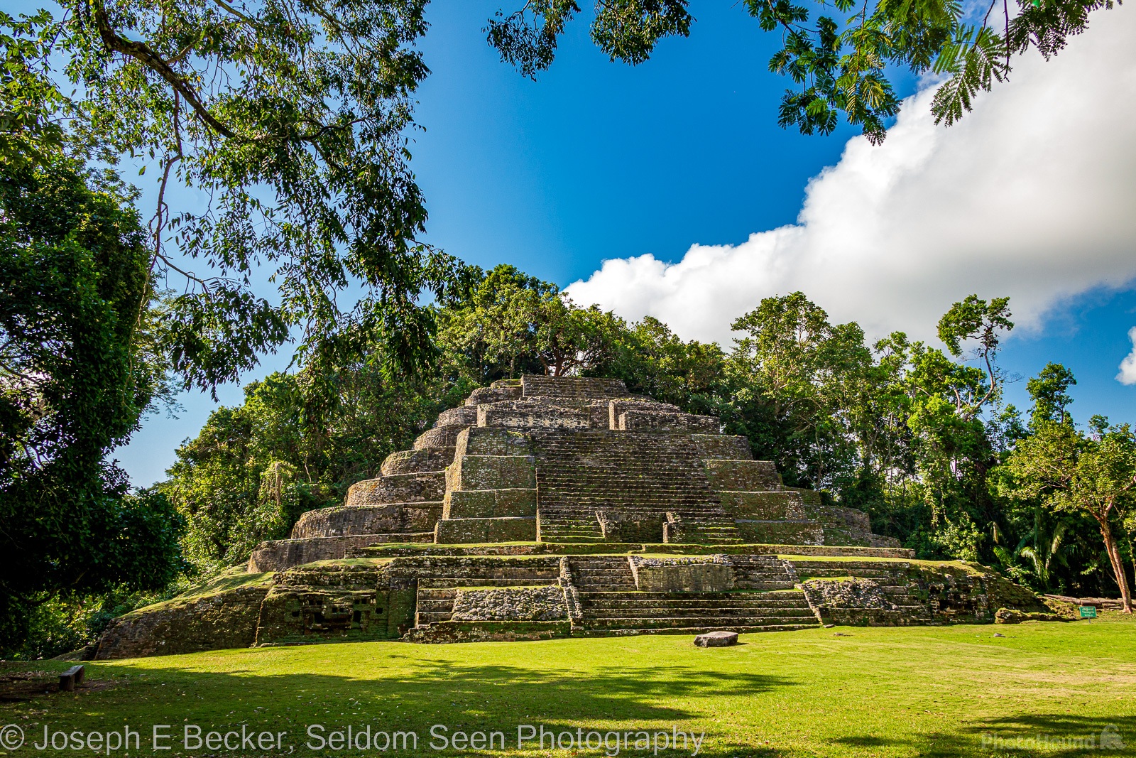 Image of Lamanai Archaeological Reserve - Mayan Ruins by Joe Becker