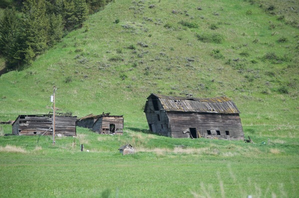 Leaning old barn with outbuildings