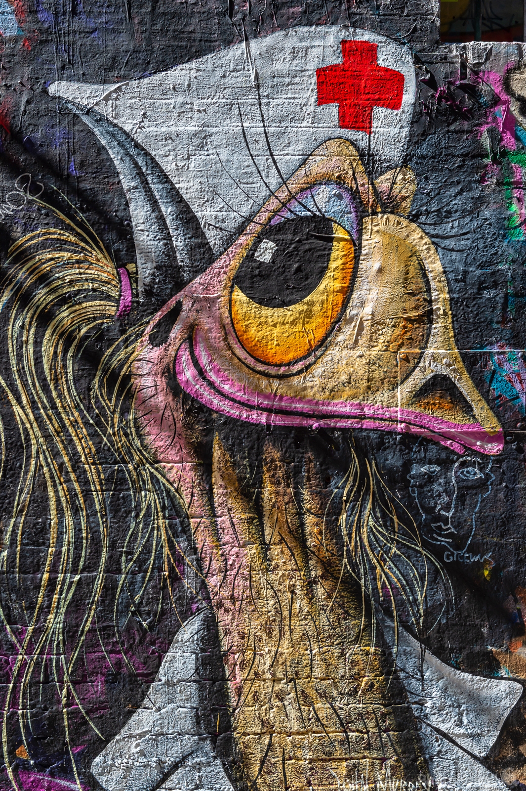Image of Hosier Lane, Melbourne by Sue Wolfe