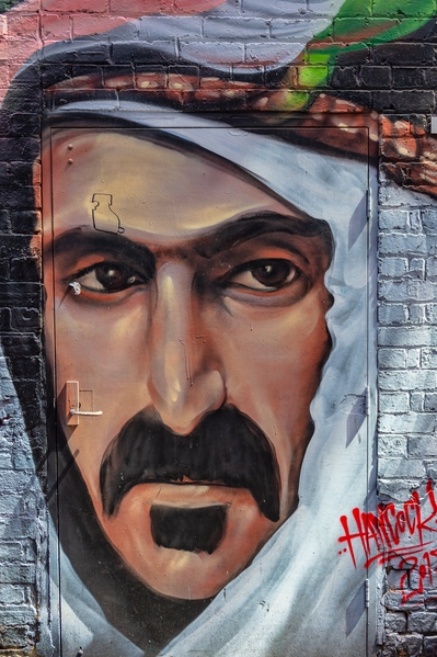 Sheik Yerbouti by Frank Zappa (Album Art)