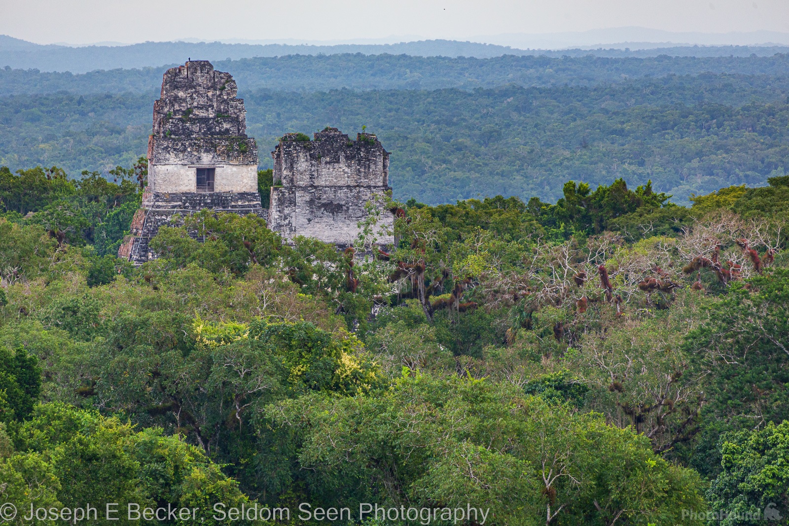 Image of Tikal by Joe Becker