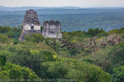 Temples I and II tower over the jungle as seen from the top of Temple IV