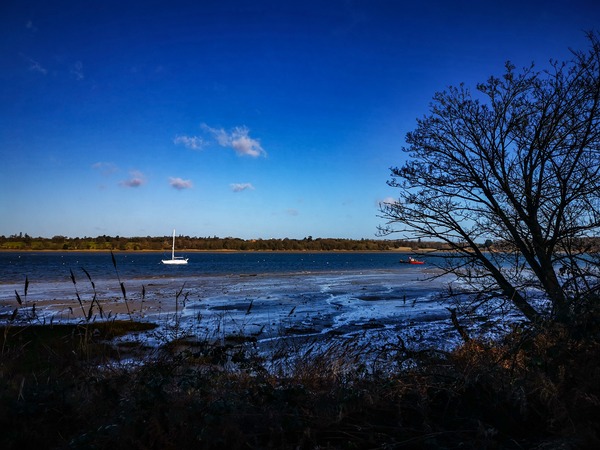 At the start of the Pin Mill walk, overlooking the estuary. Taken on my phone (Huawei Mate 20 Pro)