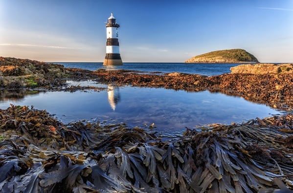Penmon Lighthouse reflected in rockpool.