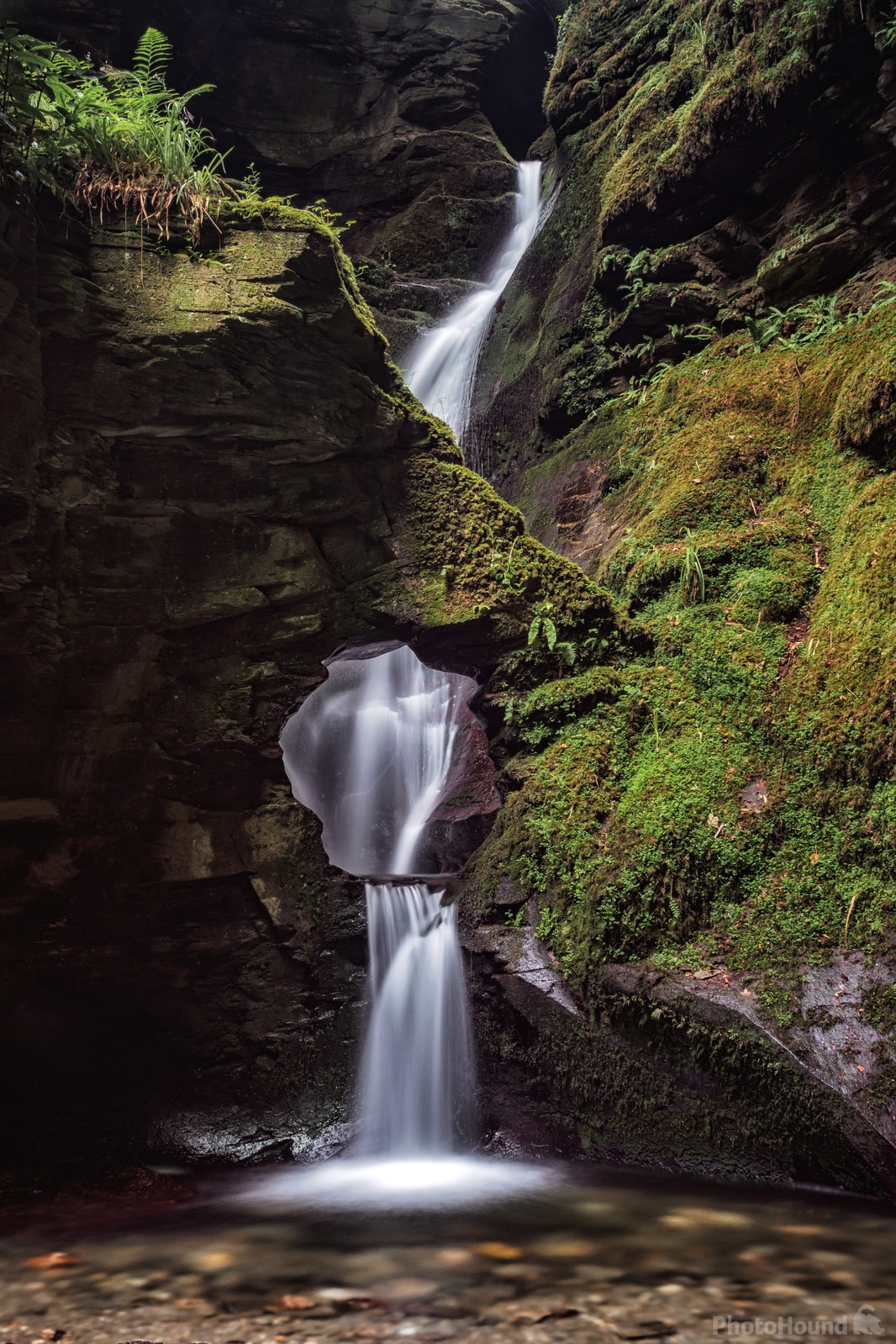 Image of St Nectan\'s Glen and Waterfalls by Terence Rees