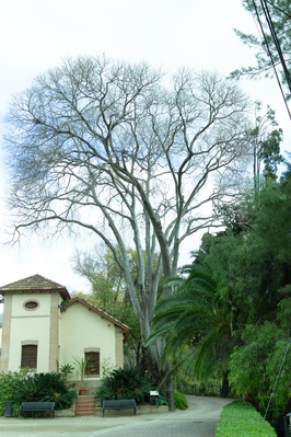 Botanical gardens, Malaga
