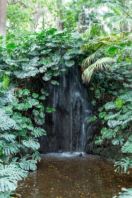 Picture of Botanical Gardens, Malaga - Botanical Gardens, Malaga