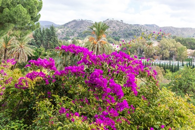 Andalucia photography spots - Botanical Gardens, Malaga