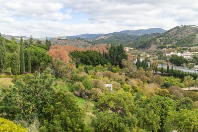 Picture of Botanical Gardens, Malaga - Botanical Gardens, Malaga