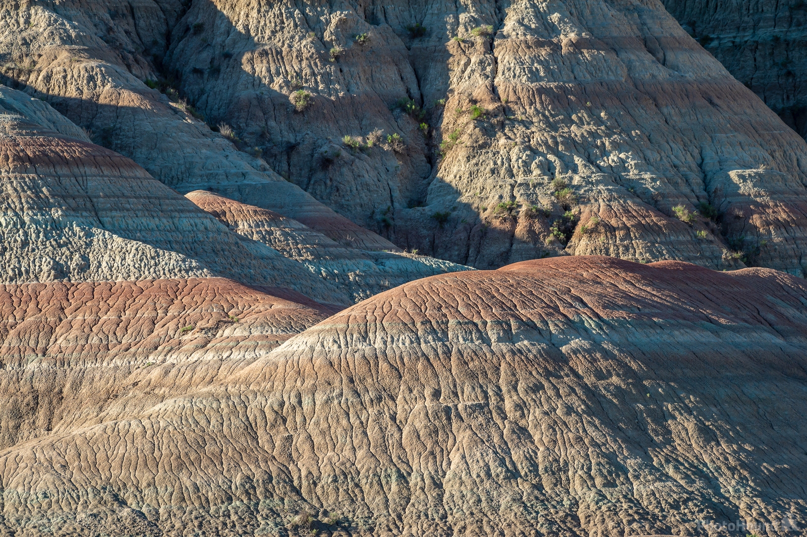 Image of Yellow Mounds Overlook, Badlands N.P. by Sue Wolfe