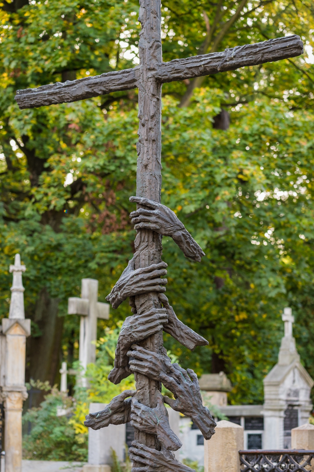Image of Rakowicki Cemetery by Sue Wolfe