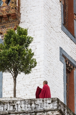 Trongsa Dzong - Monk