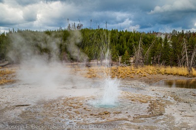 pictures of Yellowstone National Park - NGB - Vixen Geyser