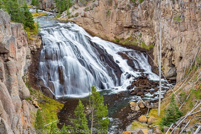 pictures of Yellowstone National Park - Gibbon Falls