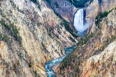 photos of Yellowstone National Park - LYF - Artist Point 