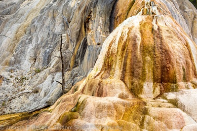 photos of Yellowstone National Park - MHS - Orange Spring Mound