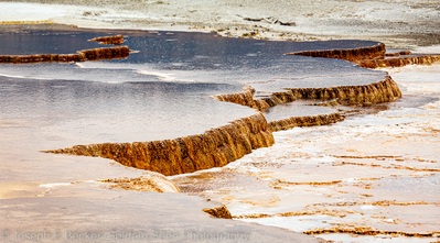 images of Yellowstone National Park - MHS - Canary Spring