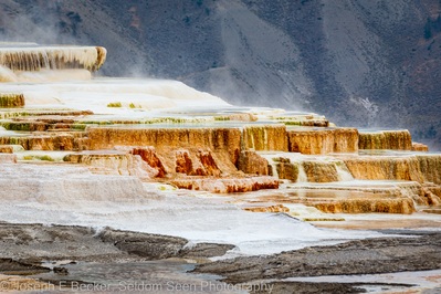 pictures of Yellowstone National Park - MHS - Canary Spring