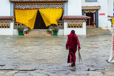 Gangteng Monastery - Monk
