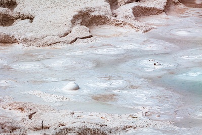 pictures of Yellowstone National Park - FPP - Fountain Paint Pots 