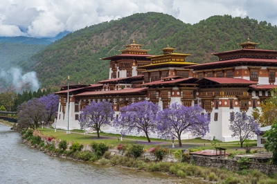 Punakha Dzong - view from across the river.
