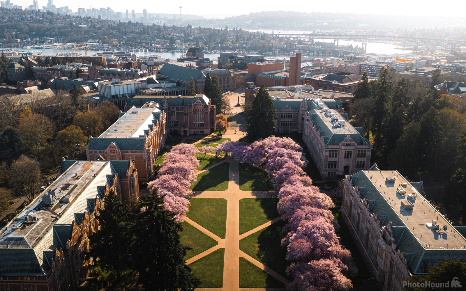 Image of University of Washington, Seattle Campus by Jaime Escalera