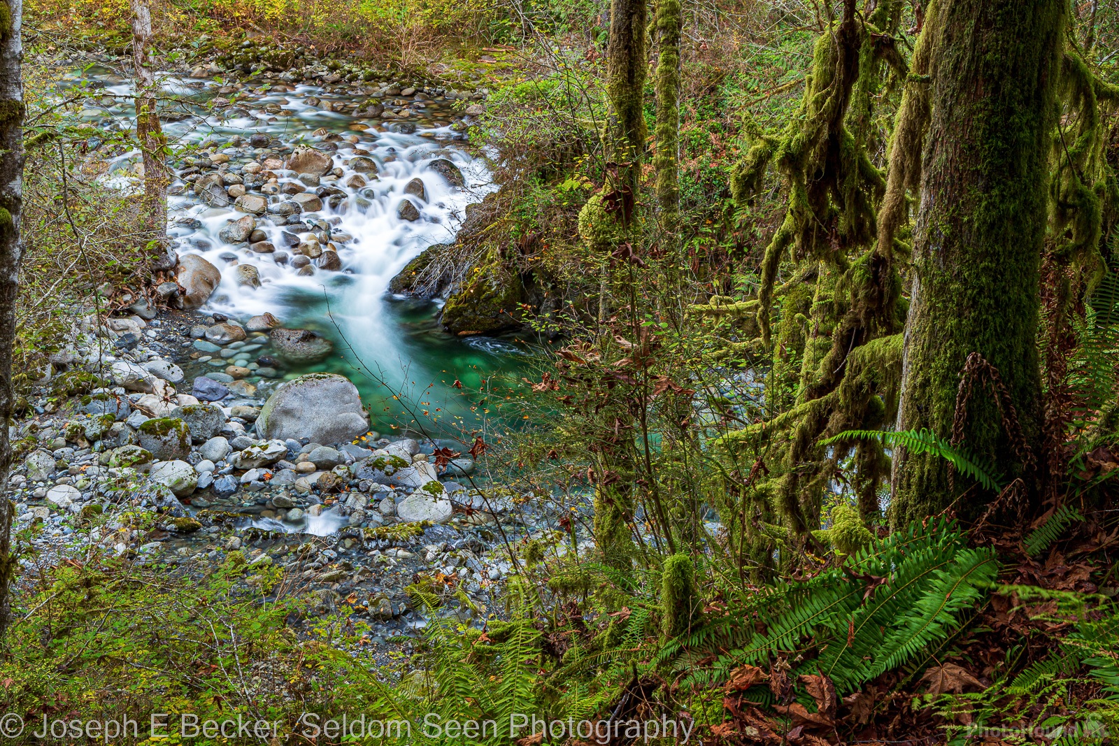Image of Wallace Falls State Park - Wallace River by Joe Becker