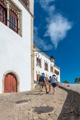 Picture of Palacio Nacional Sintra - Palacio Nacional Sintra