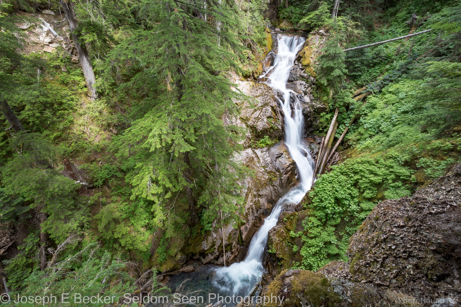 Image of Deer Creek Falls, Mount Rainier National Park by Joe Becker