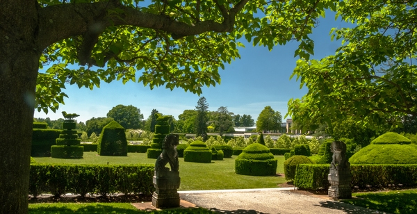 Here among the playful bunnies and fanciful spirals, you’ll find more than 35 specimens of meticulously maintained, highly cultivated yews Longwood’s Topiary Garden.