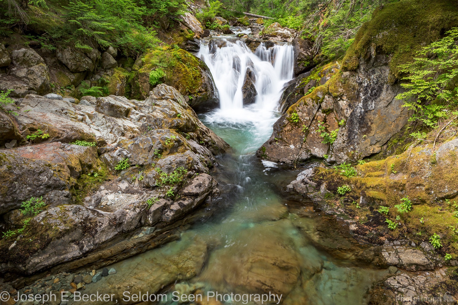 Image of Lower Chinook Creek Falls, Mount Rainier National Park by Joe Becker