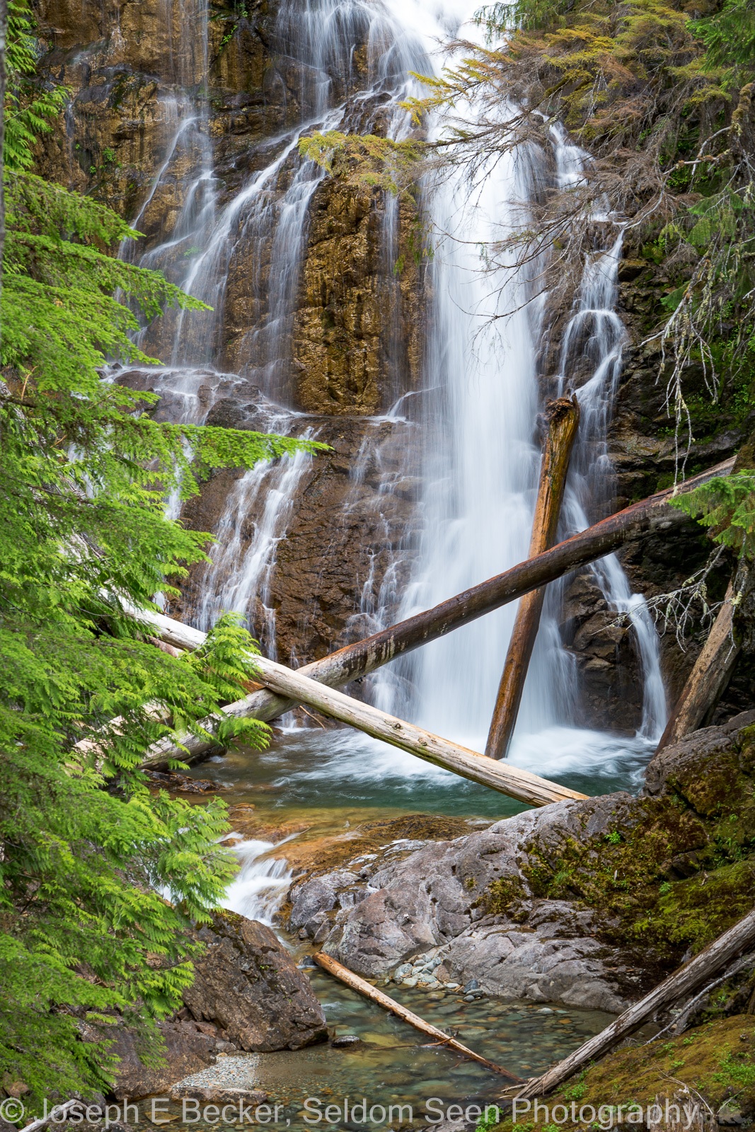 Image of Lower Chinook Creek Falls, Mount Rainier National Park by Joe Becker
