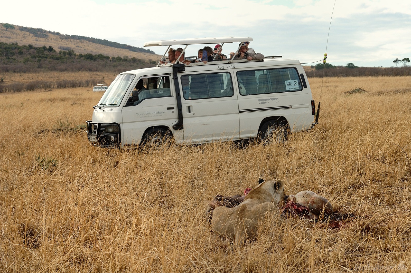 Image of Maasai Mara Game Reserve by Luka Esenko