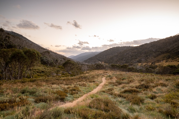 View from the start of the Dead Horse Gap Trail following onto Koscuiszko Trail towards Thredbo.