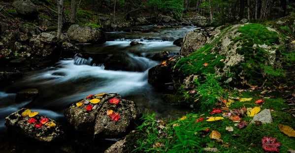 Behind Jordan Pond House is this beautiful small stream.  A wonderful find.